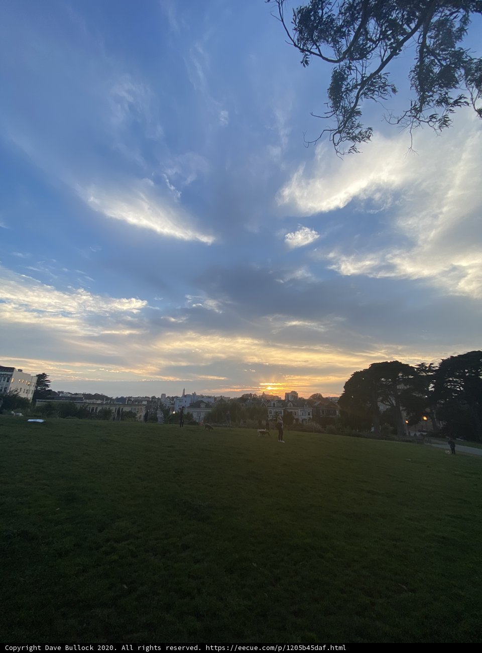 Alamo Square Sunset