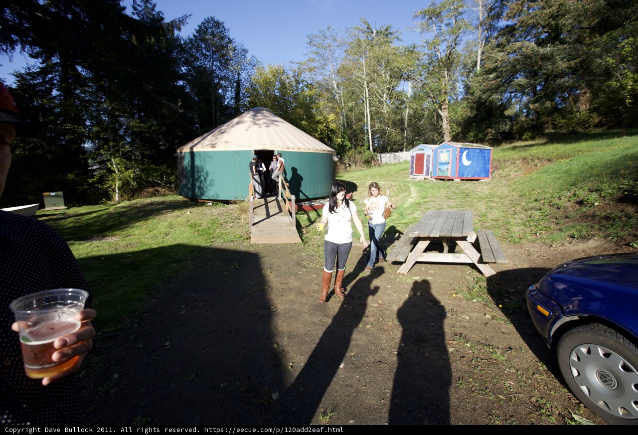 A Relaxing Drink in a Traditional Yurt
