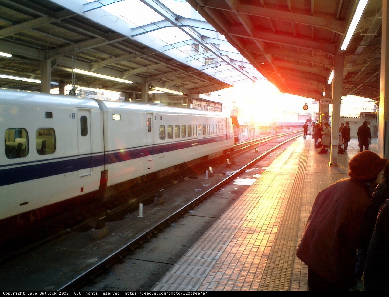 Commuting in Tokyo