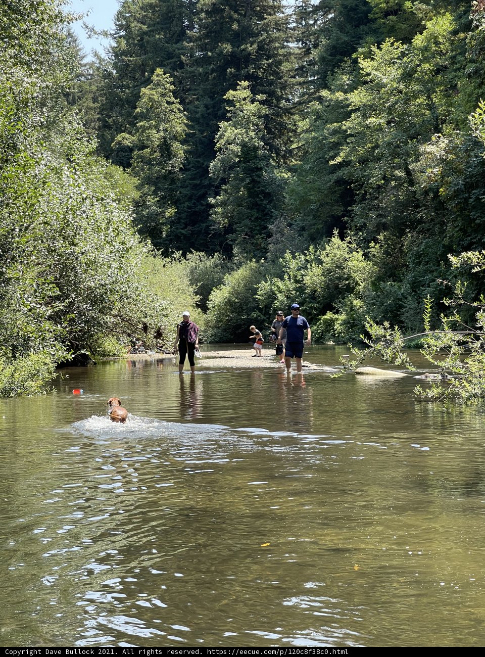 River Getaway with Friends