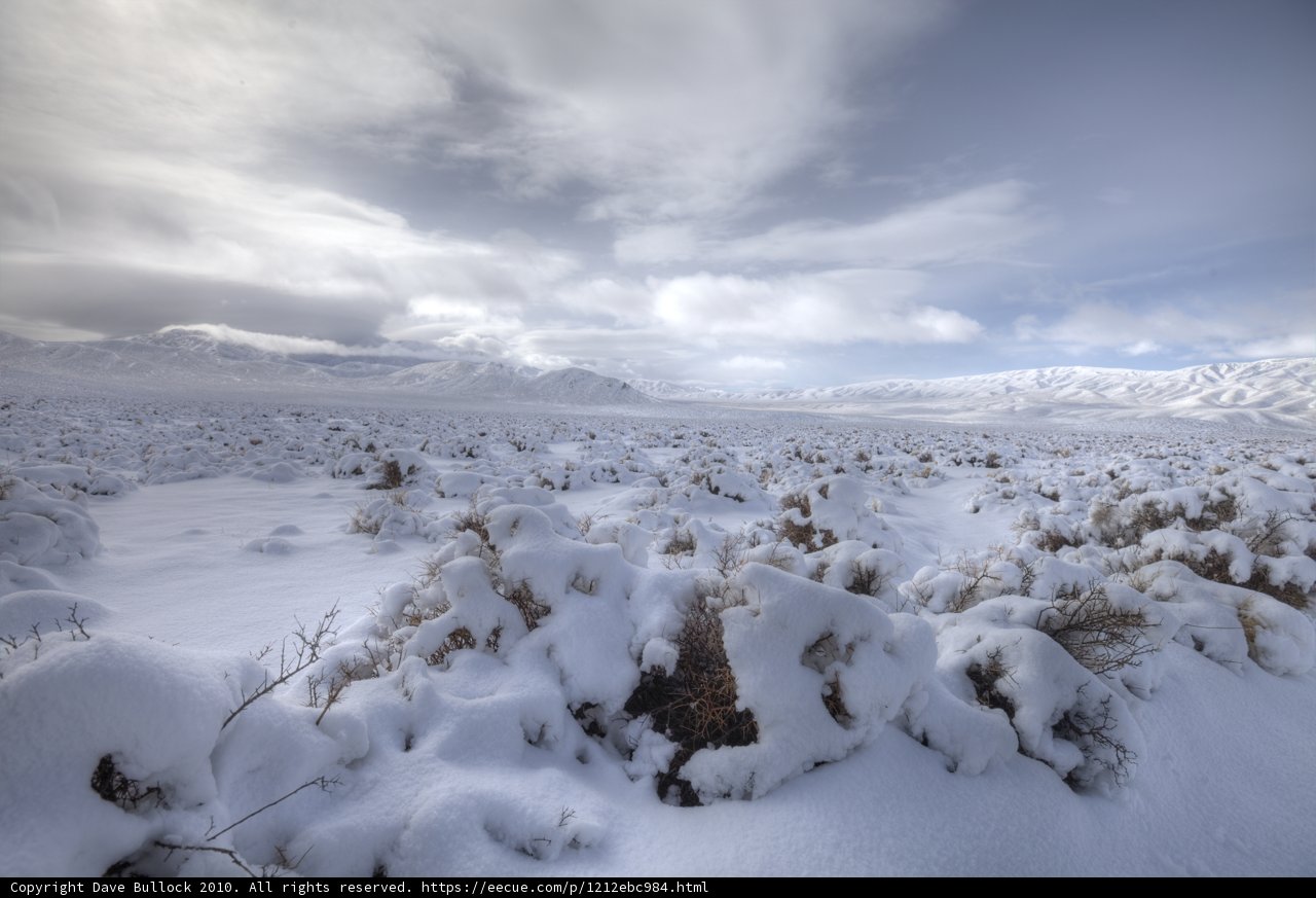 Majestic Winter Wonderland