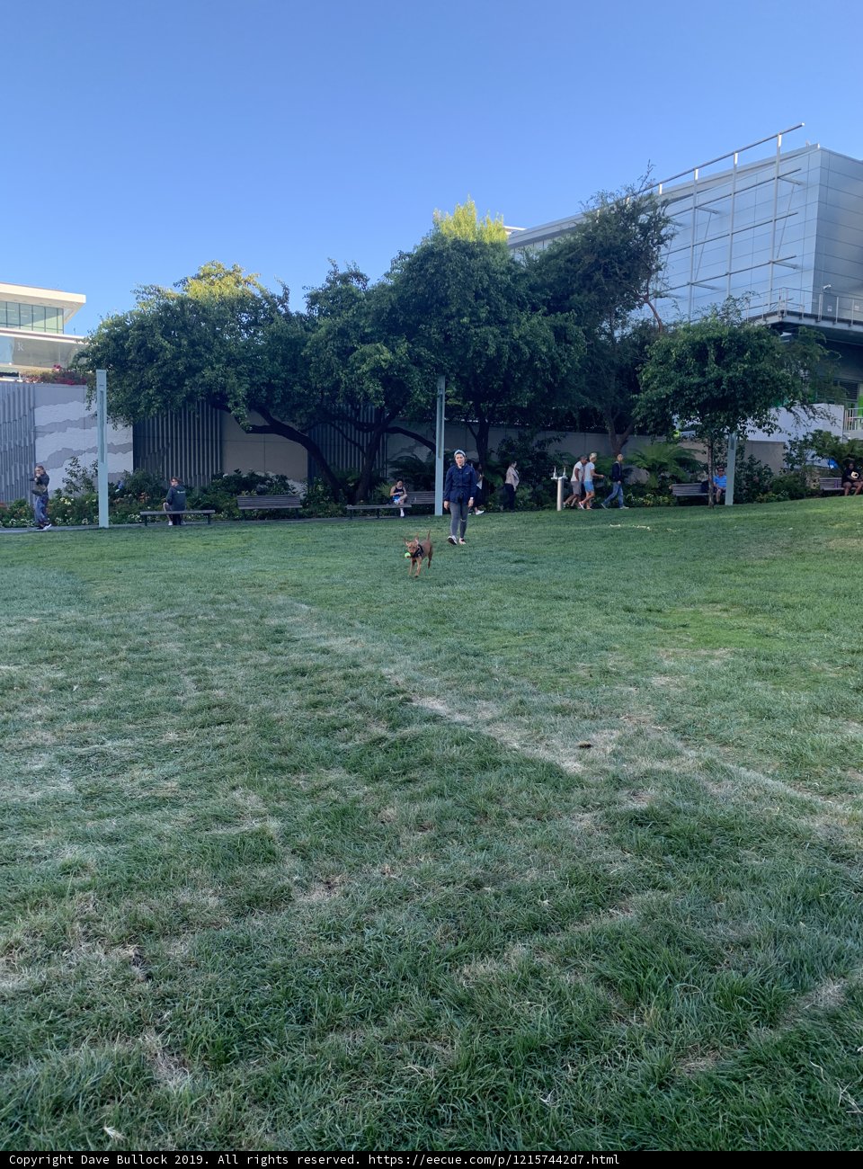 A Day in the Park
