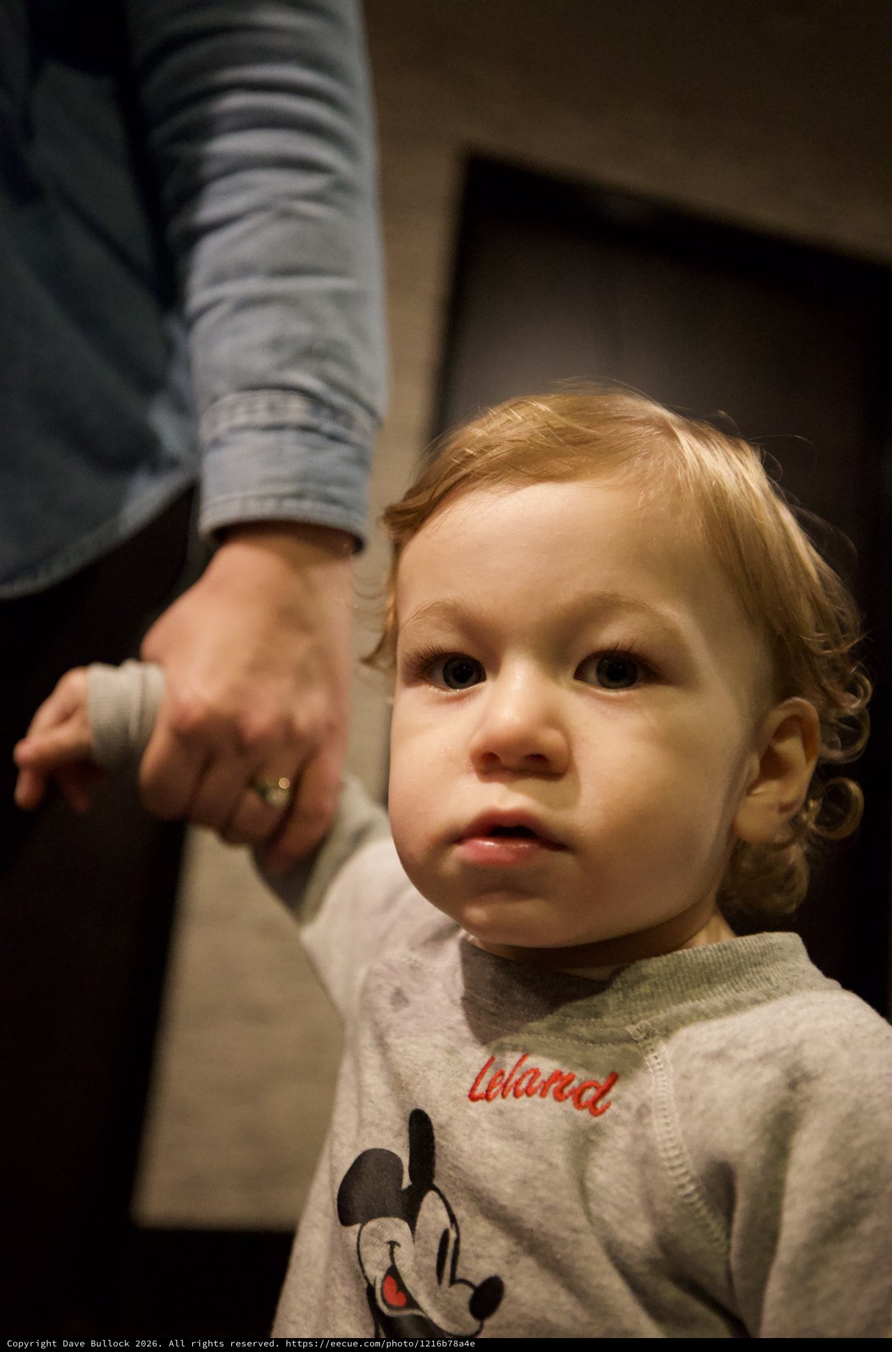 Toddler Holding Parent's Hand in Warm Indoor Setting