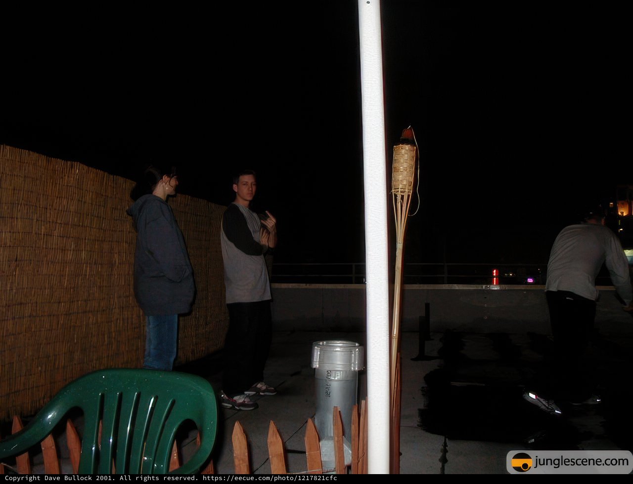 Nighttime Gathering