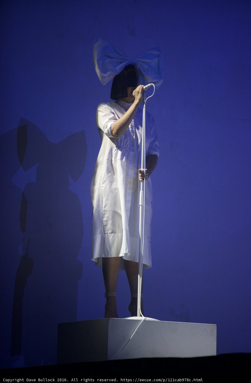 Elegant Solo Performance