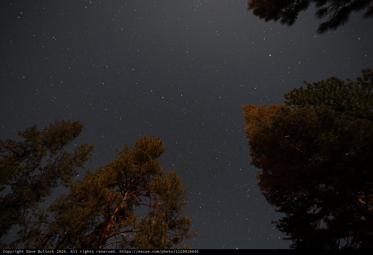 Star-Filled Night Sky Over Lassen Pines