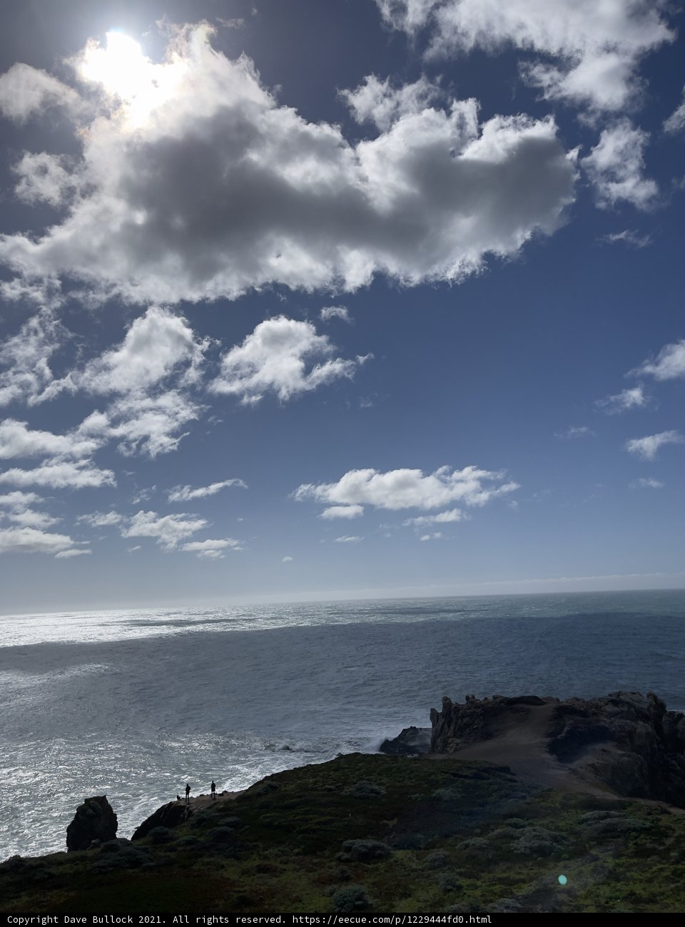 Majesty of the Ocean