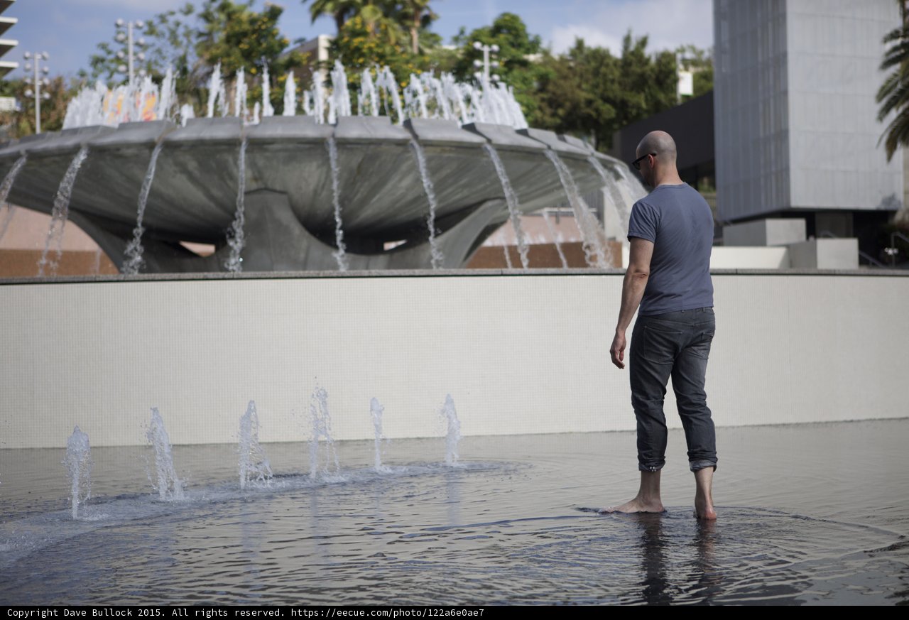 Contemplating the Fountain