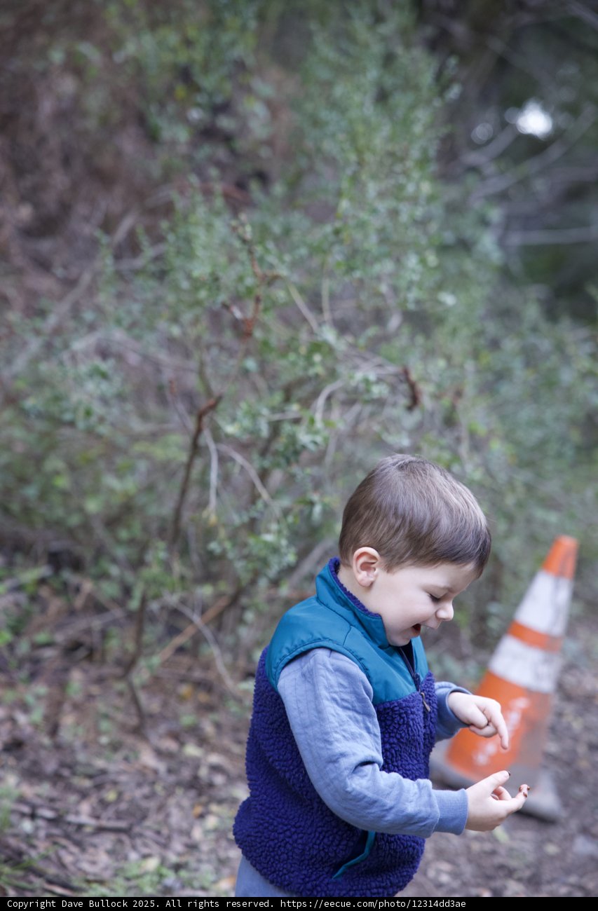 Little Explorer on the Huckleberry Trail