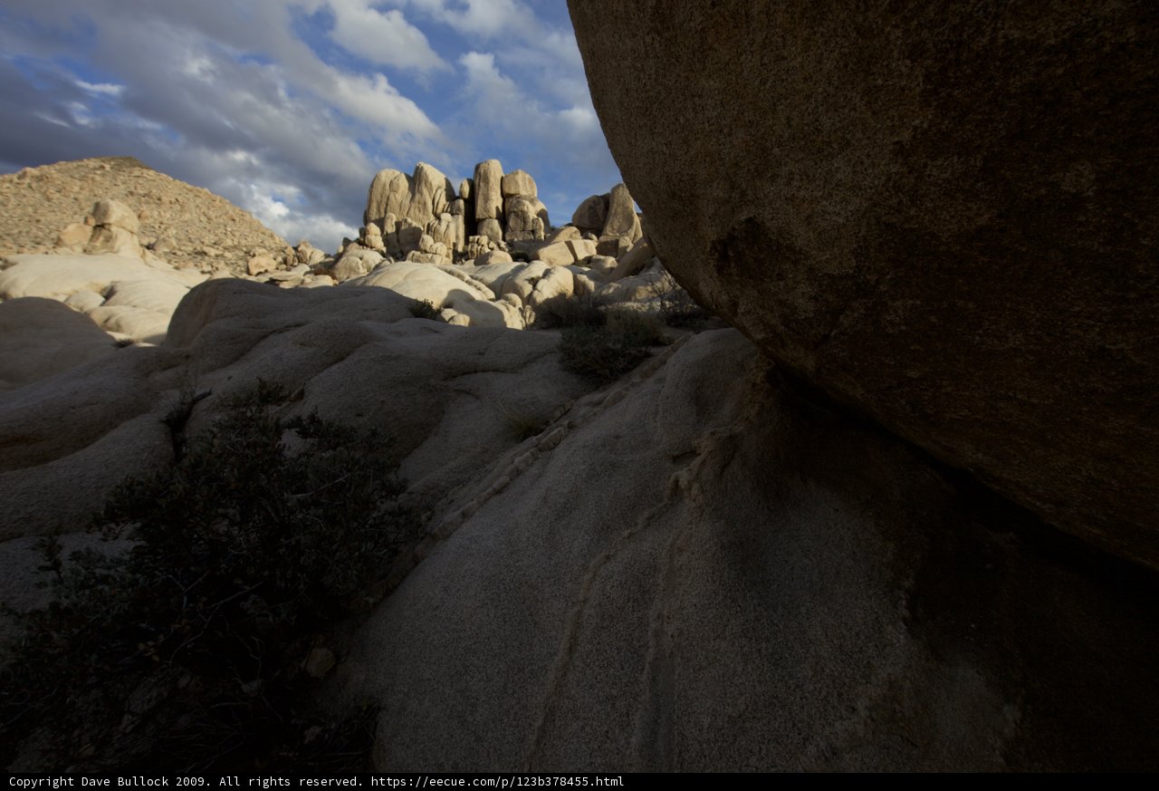 Majestic Rock Formations in Joshua Tree National Park