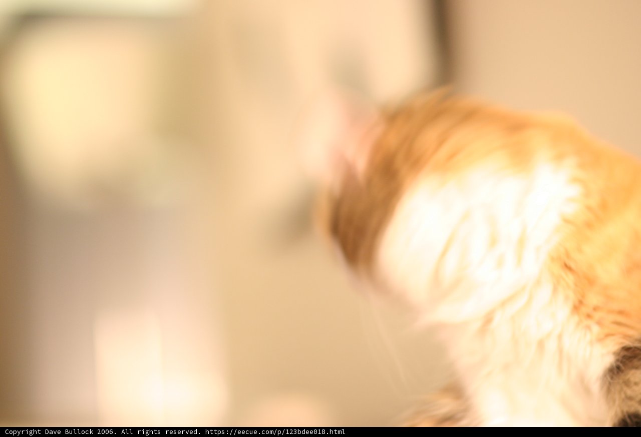 Furry Blur