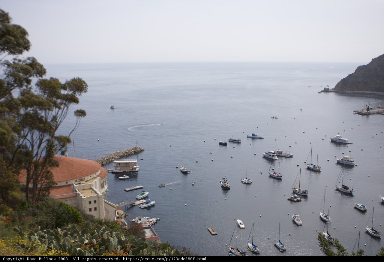 Serene Harbor View