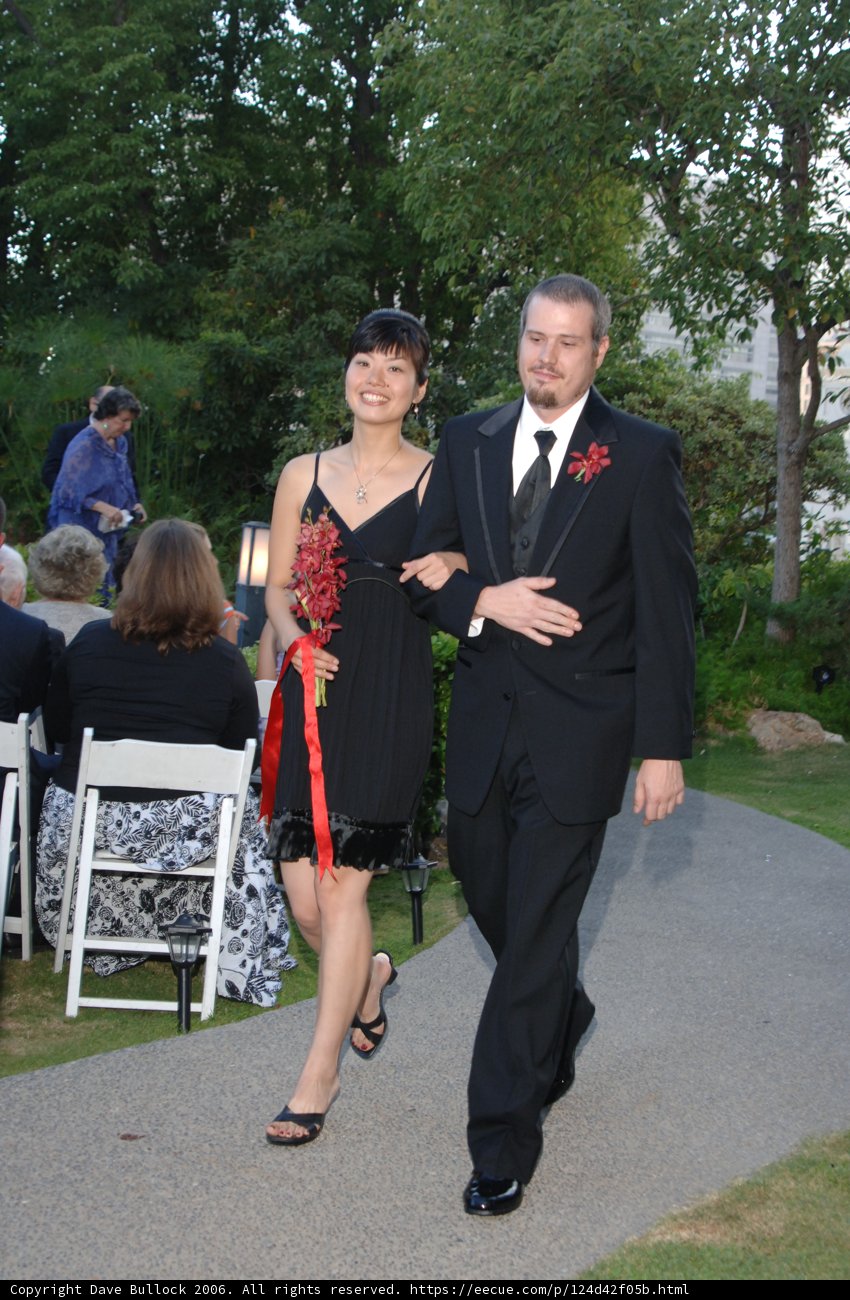 Wedding Couple Takes a Stroll