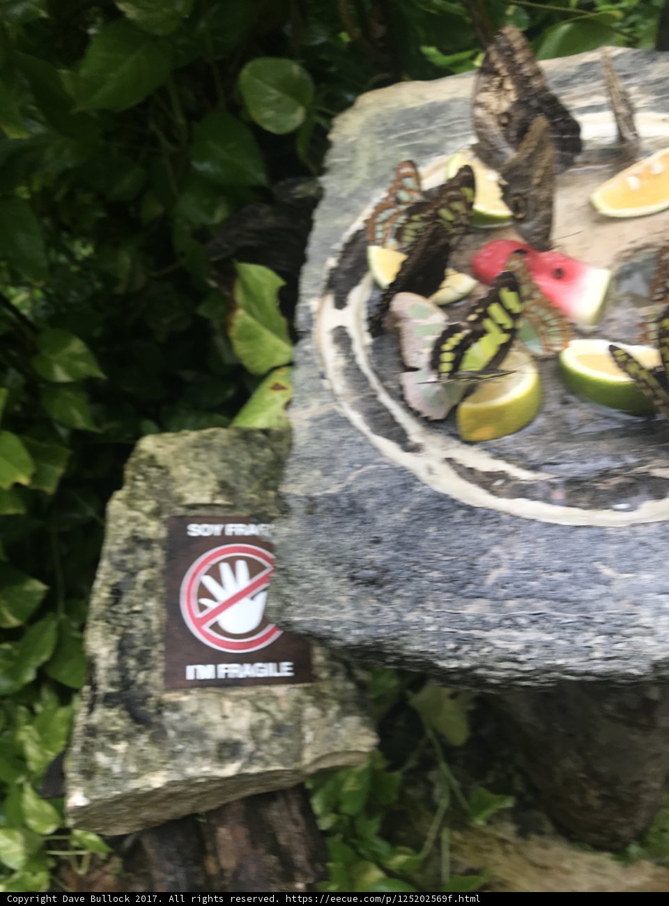 Nature's Bounty