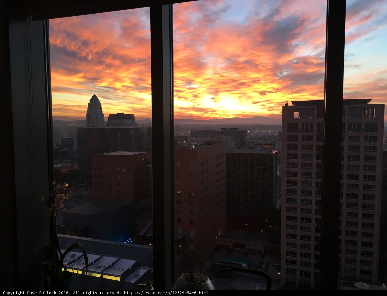 Capturing the Sunset in the Metropolis