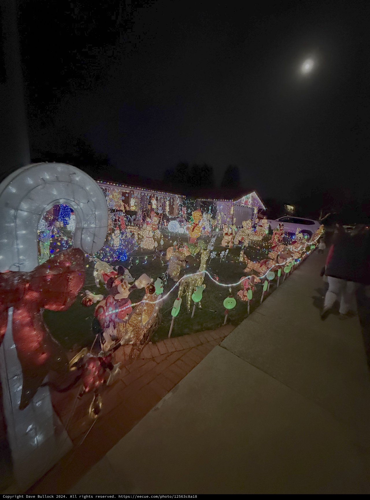 Elaborate Christmas House Display at Night