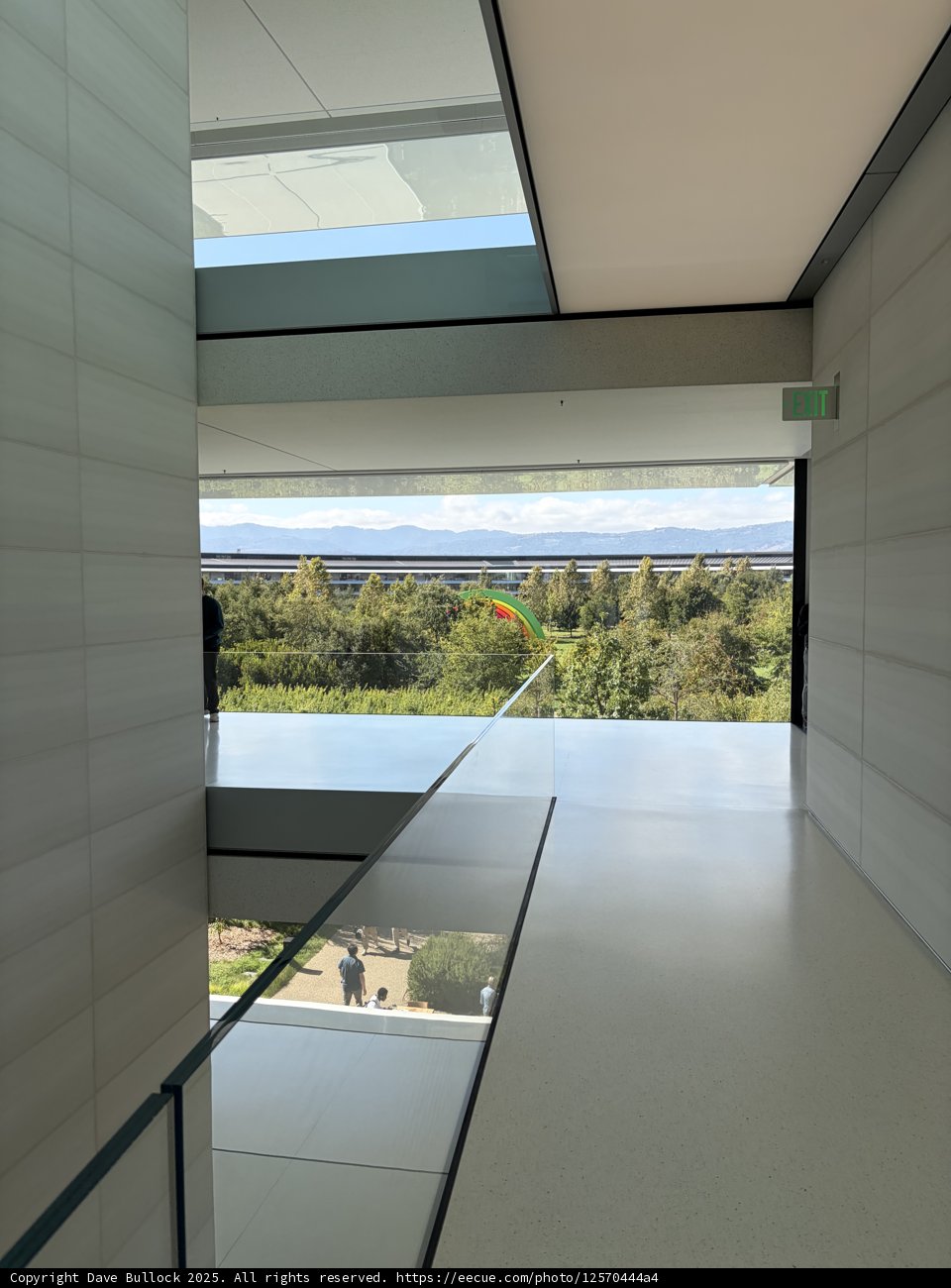 Modern Elegance at Apple Park