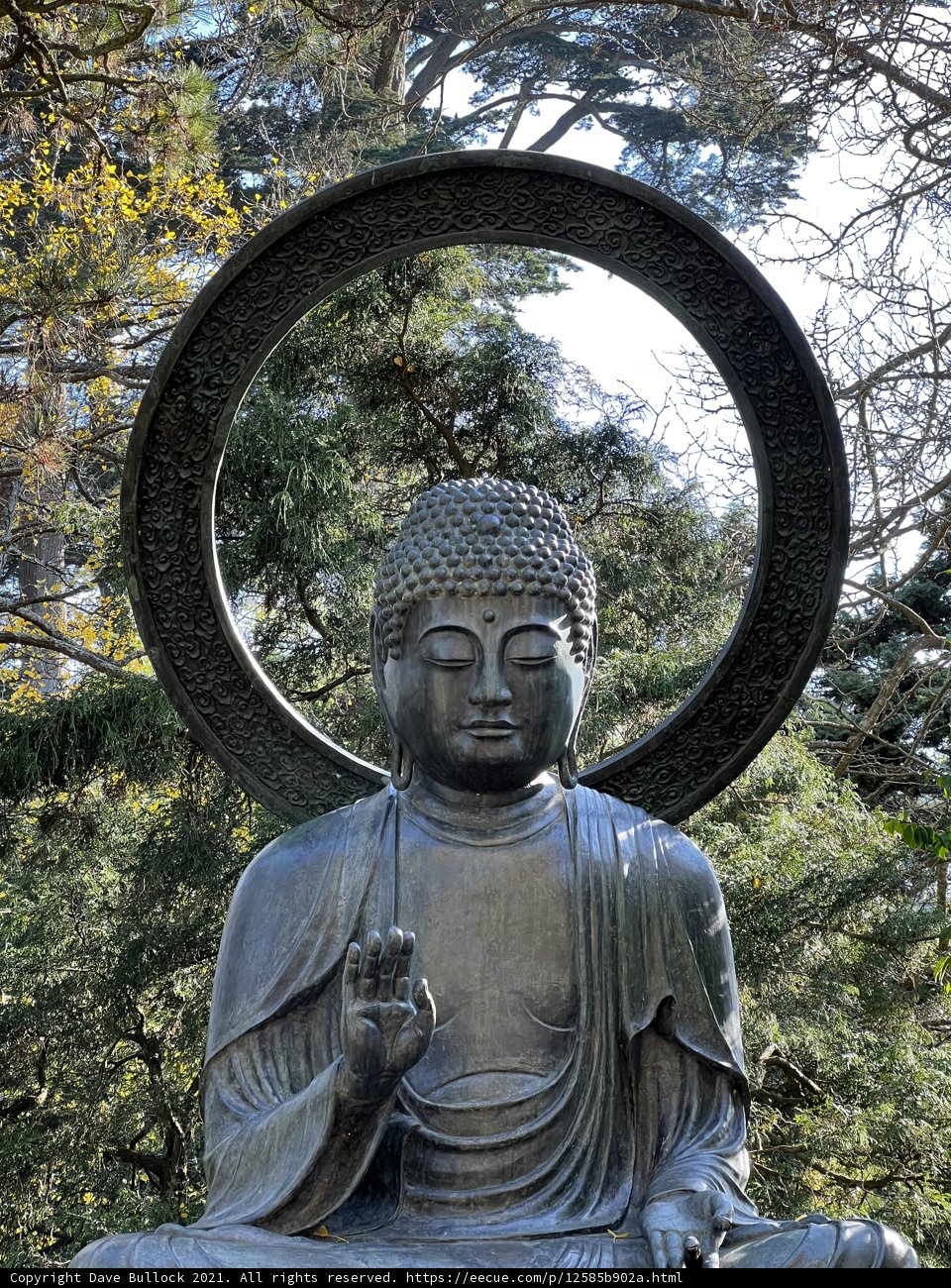 The Serenity of Buddha