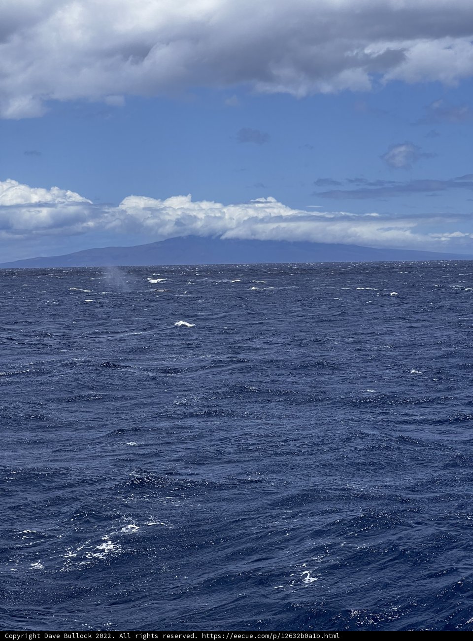 Majestic Hawaiian Horizon