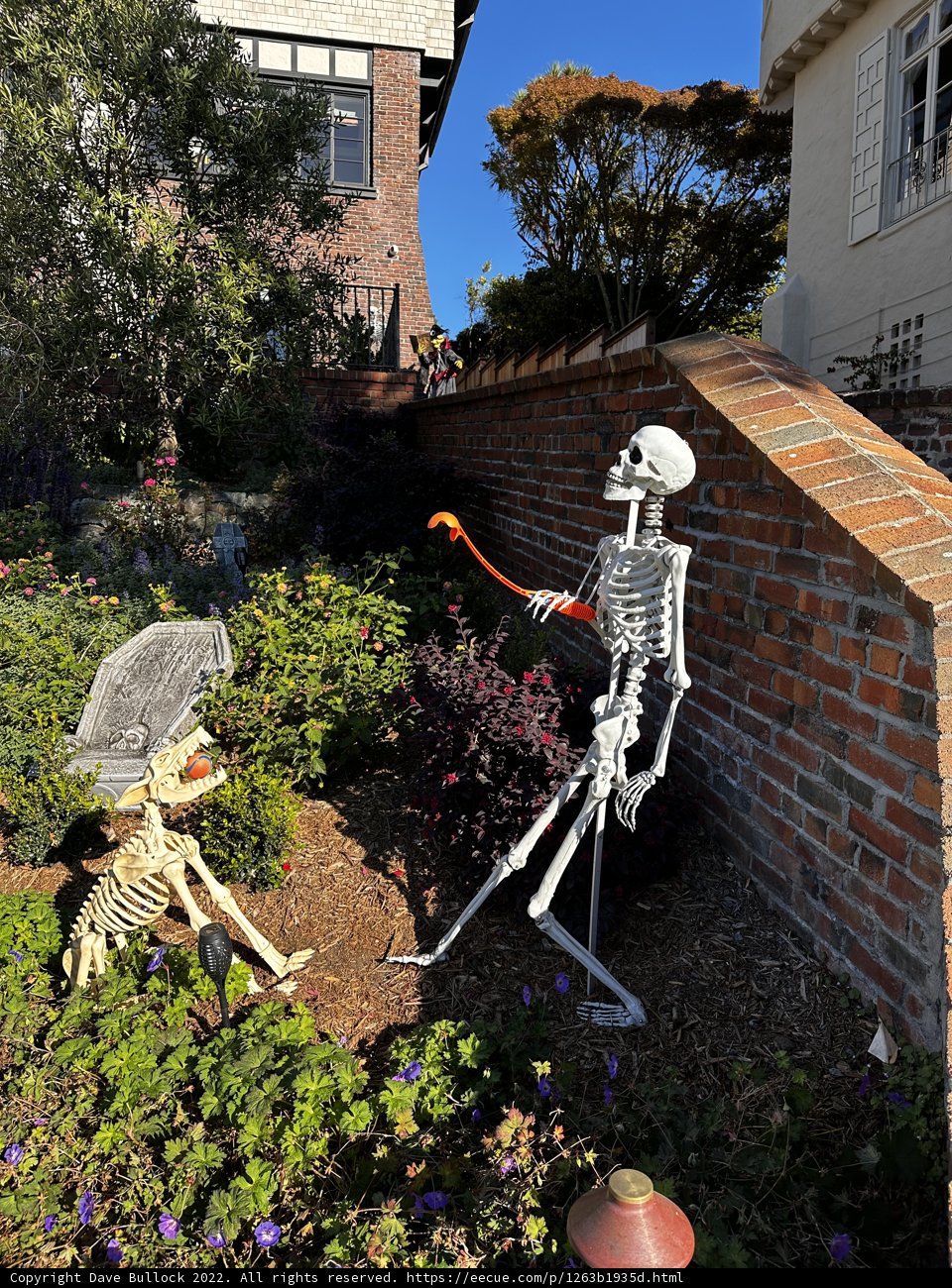 Skeleton and Dog on the Garden Path