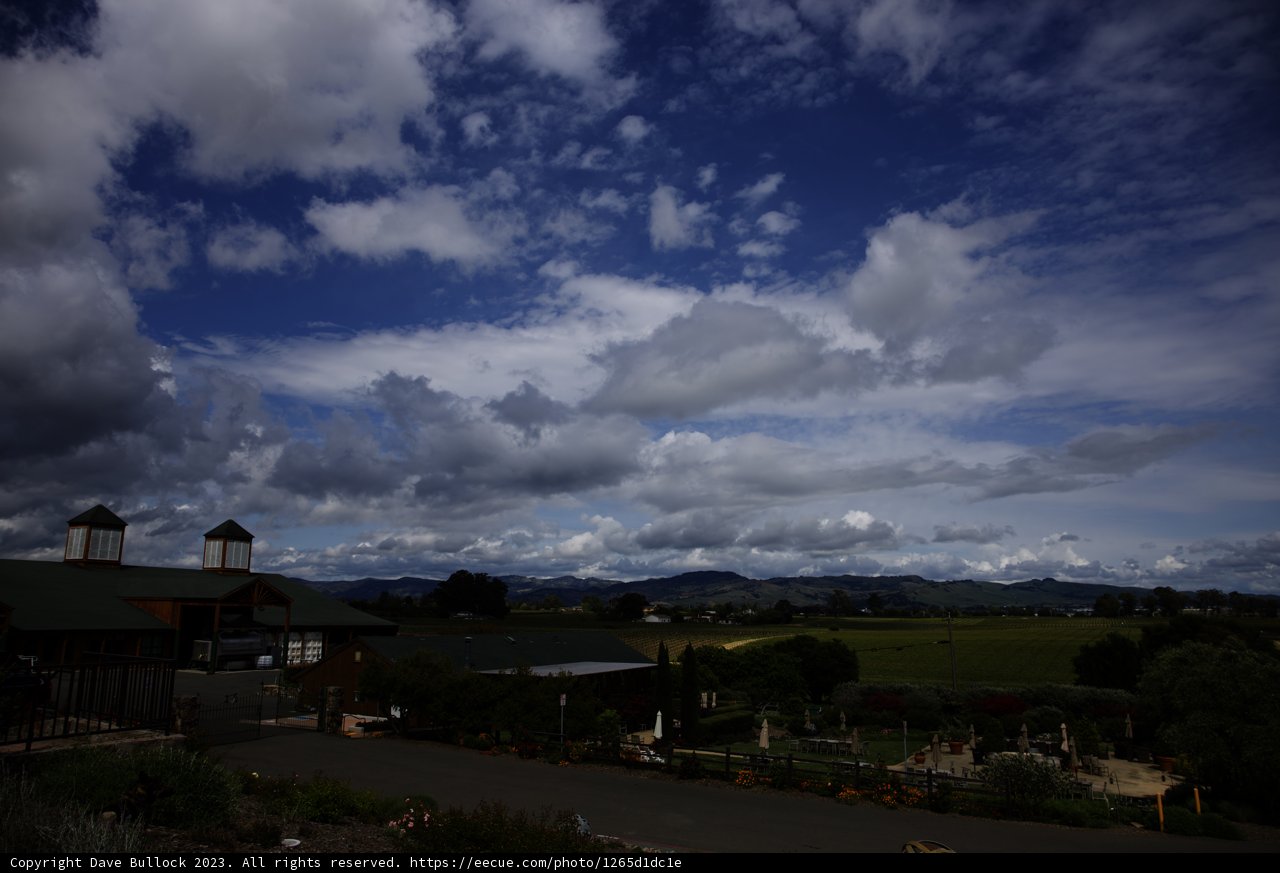 Timeless Beauty at Bouchaine Vineyards & Winery