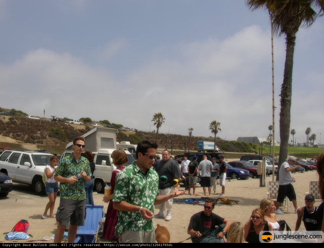 Group Gathering Under a Palm Tree