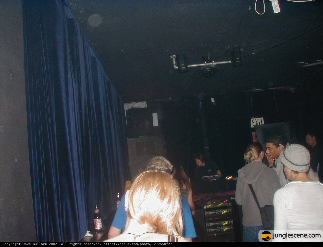 Nightclub Crowd Enjoying Live Music