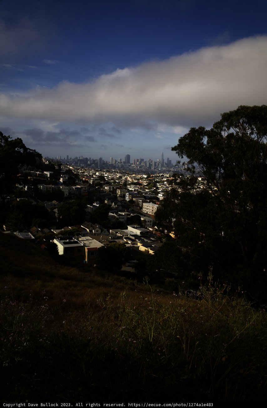 San Francisco: A Hillside Perspective