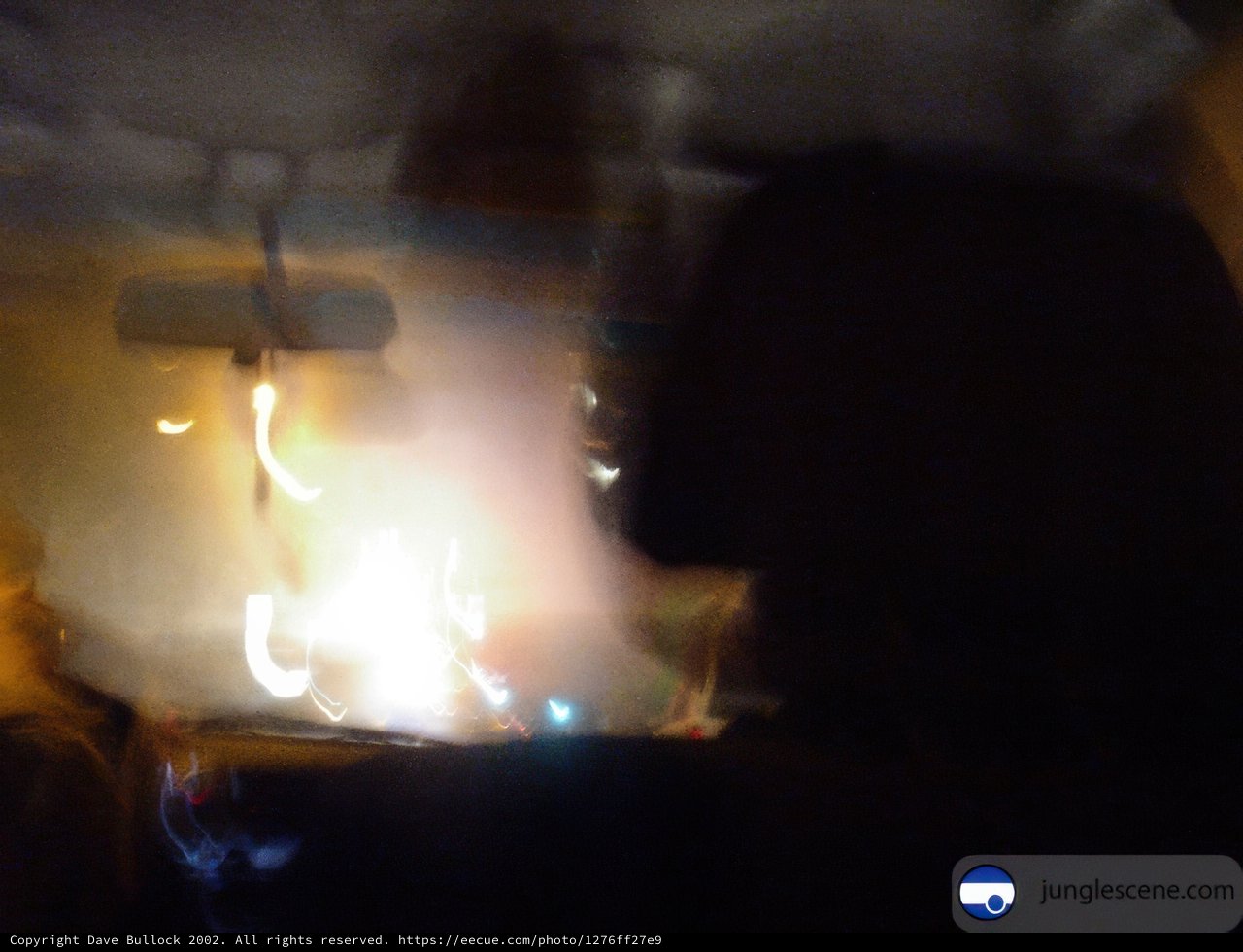 Blaze in the Backseat