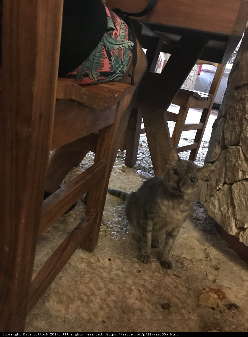 The Under-Table Companion