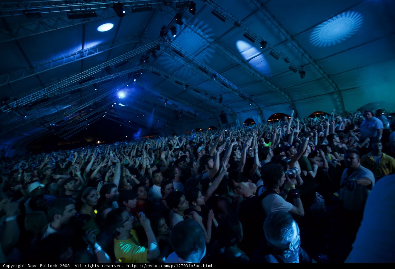 Coachella 2008 Crowd in Ecstasy