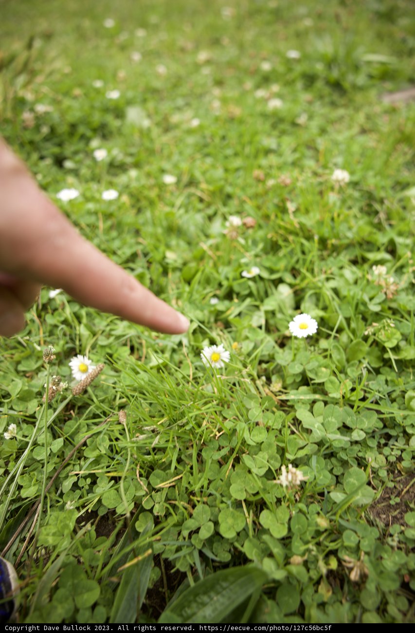 The Simple Joy of Nature's Gifts