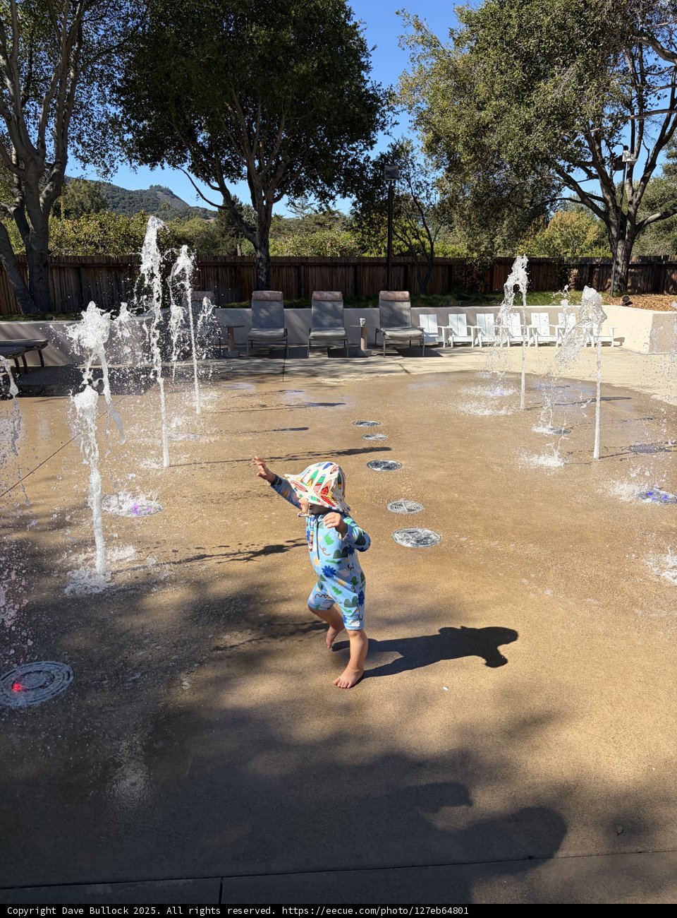 Joyful Splash in the Sun