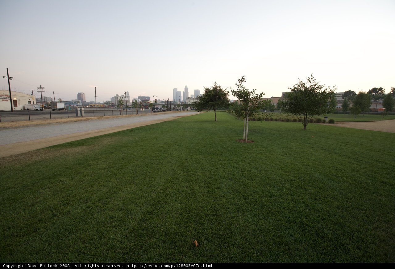 Cityscape Oasis