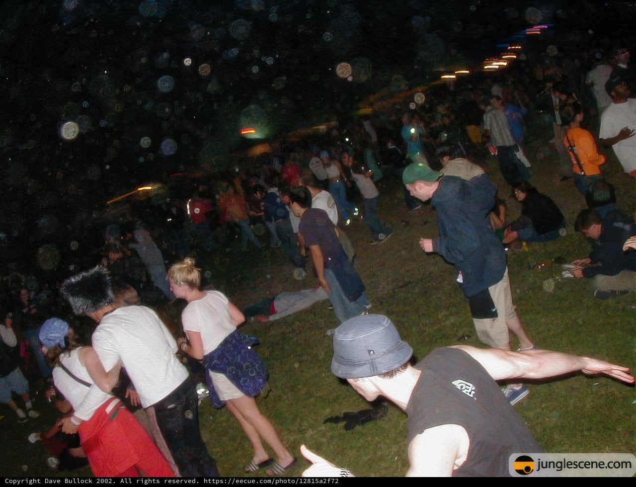 Coachella 2002 Concert Crowd