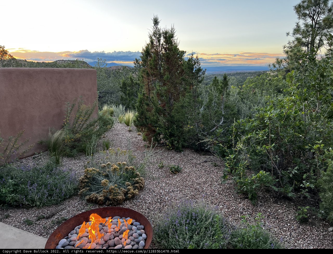 Desert Bonfire