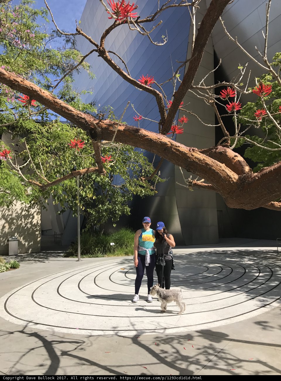 Nature Walk with Furry Friends