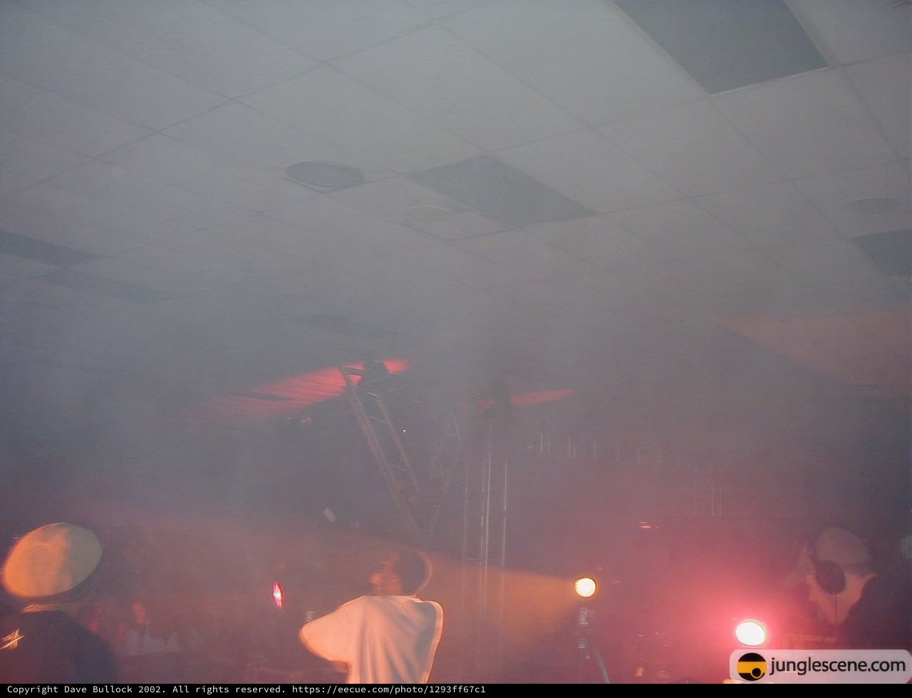 Spotlight on the Crowd