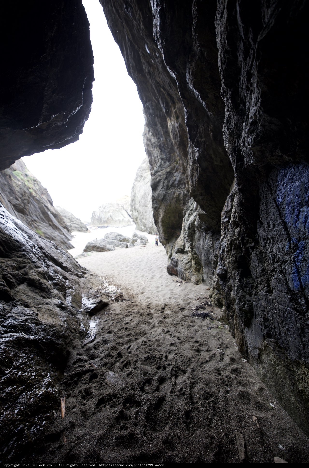 Through the Sea Cave: Light Beyond the Darkness