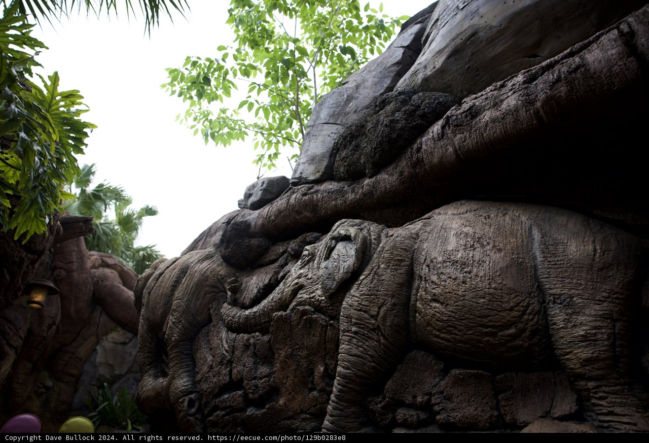 Majestic Elephant in the Heart of Nature