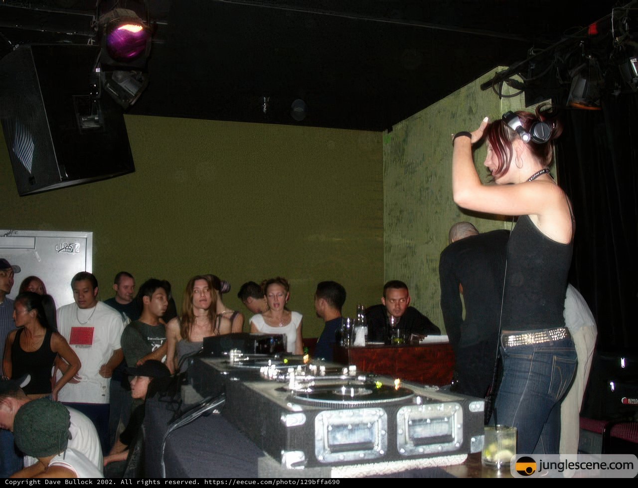 DJ Vibes at the Night Club