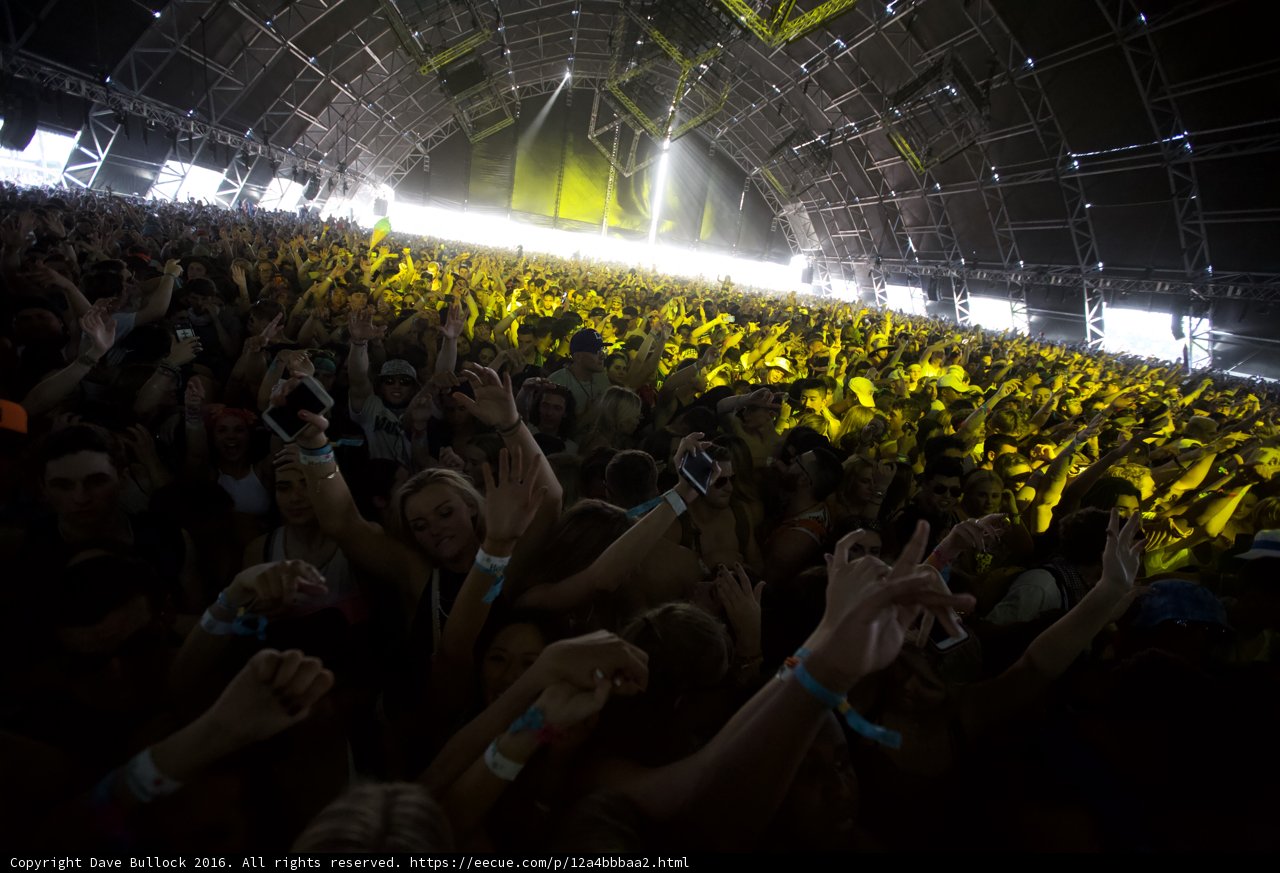 Hands Up at Coachella