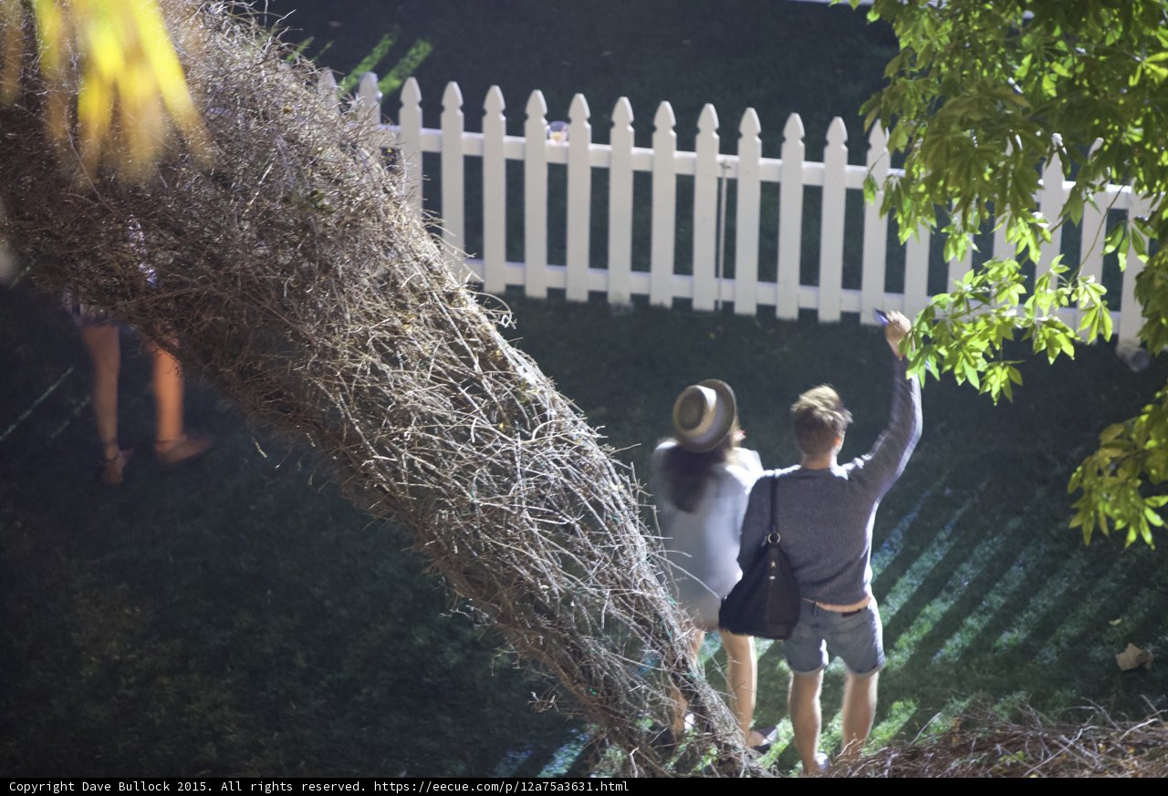 Family Fun in the Garden