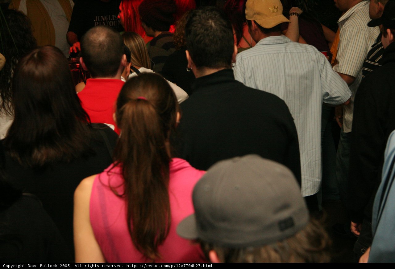 A Night Out at the Club