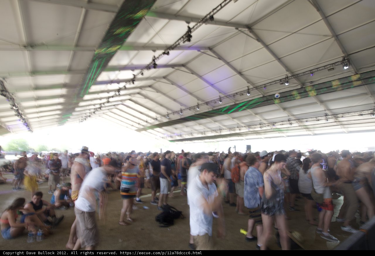 Festival Fever