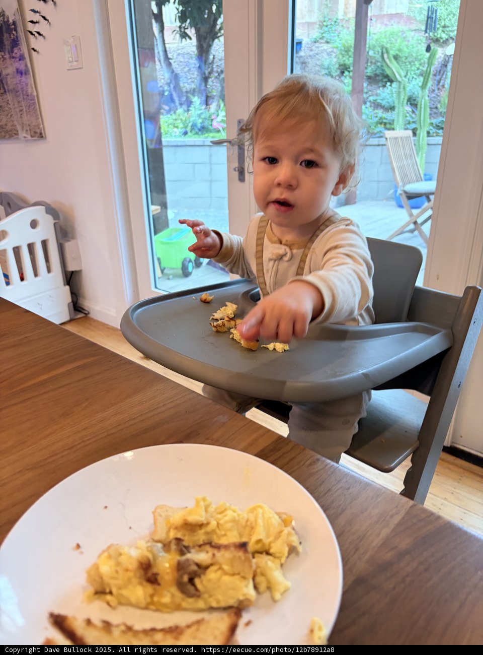 Morning Munchkin Moments