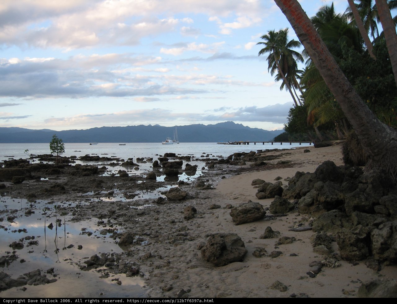 Paradise Found