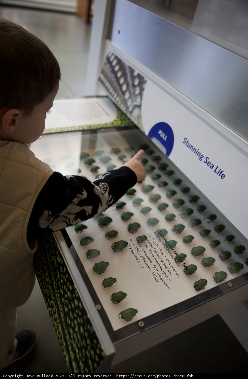 Exploring the Wonders of Science