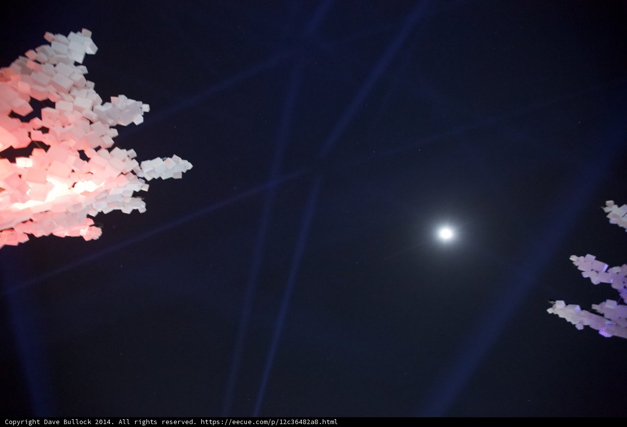 Moonlight Peeking Through the Trees