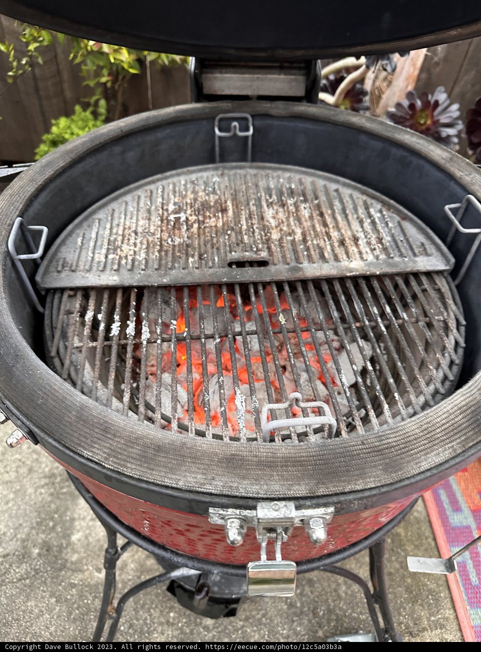 Sizzling Summer BBQ